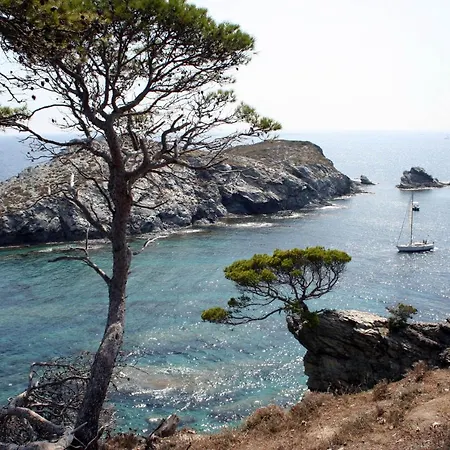 T2 Vue 50m De La à Giens Hyères