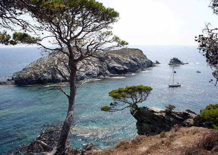 T2 Vue 50m De La A Giens Hyères